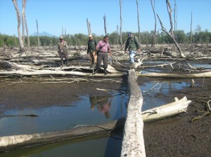 Actores locales inspeccionan el área y analizan las posibles acciones para la recuperación del ecosistema de manglar