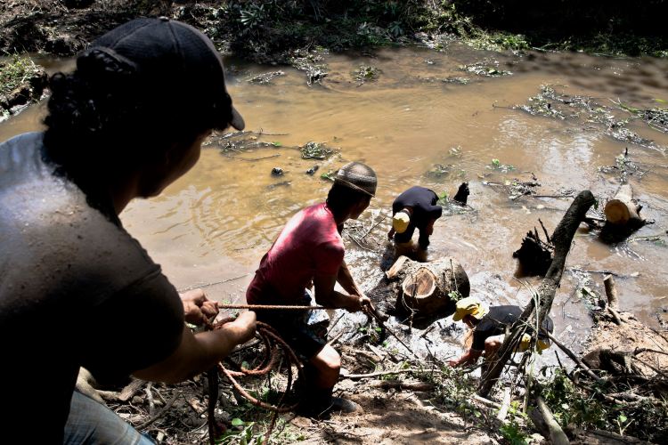 Comunidad participa en técnica comunitaria de Restauración Ecológica de Manglares (REM) en El Salvador