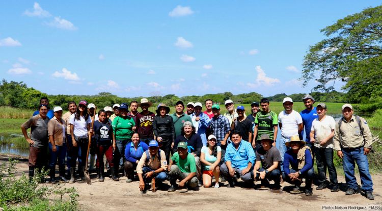 Taller sobre técnicas de restauración de manglares